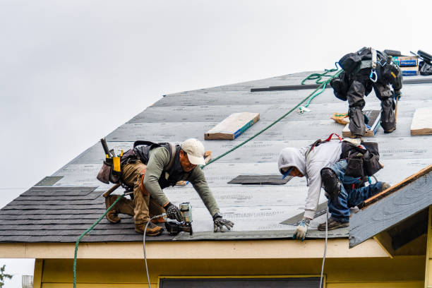 Professional Gutter Installation technician working in Logan, IA